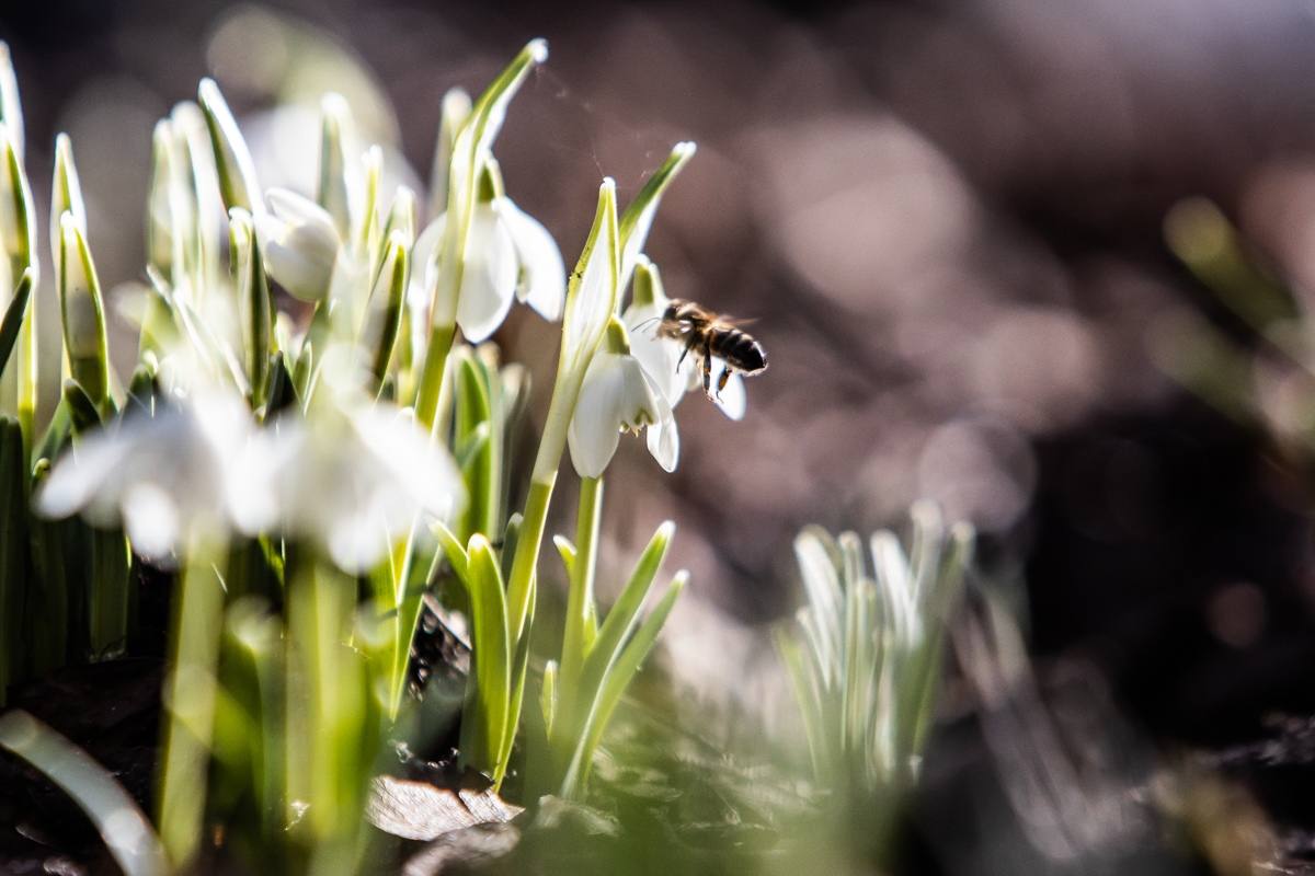 Совсем скоро лента будет пестрить весенними цветами, а пока давайте согреем себя воспоминаниями о теплых днях! Совсем скоро лента будет пестрить весенними цветами, а пока давайте согреем себя воспоминаниями о теплых днях!
