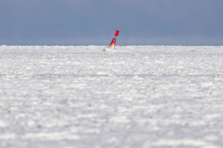 В Калининграде и области будет морозно: днем -4…-7°C, а у побережья немного теплее — -3…-5°C