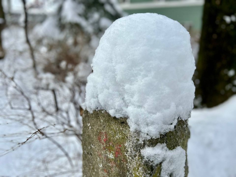 ������ ���������� ��������! � ��������������� ������� ������������� ����� ������� ������� ������ � ������ ����