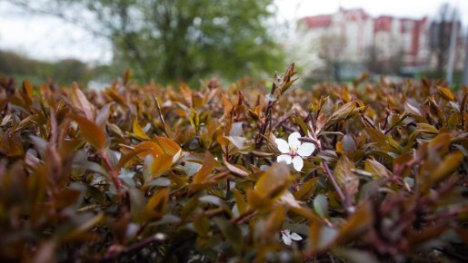 ����� � ��������������� ������� ����� ���� ������ ������������� �����