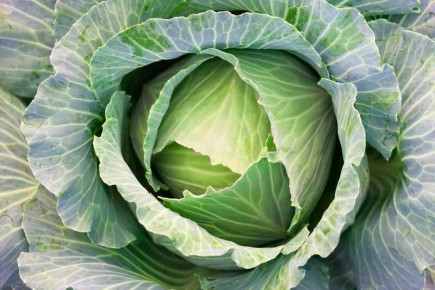 ������� �����: ��������� ���� ��� ������ �������