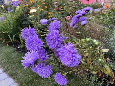 ��� ������� ��������� ����� �� �����: ������ ���������