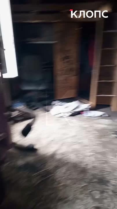 «У нас остался только хомяк»: маме и сыну из Васильково после крупного пожара негде жить