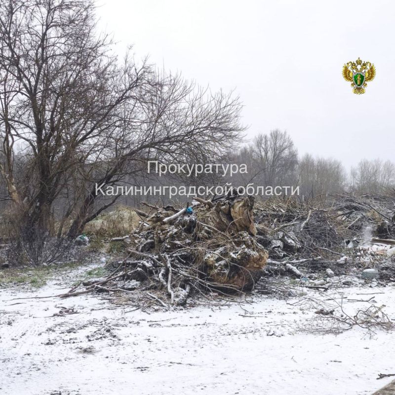 ����� ������������� ��������������� ����������� ������������� ������ � �������������� ������