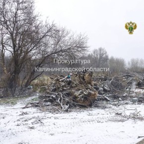 ����� ������������� ��������������� ����������� ������������� ������ � �������������� ������