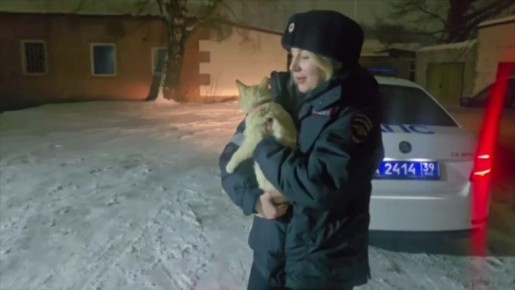 � ������ ������� � ����� ������ ������� ��������� ������ �� ��������������� �������