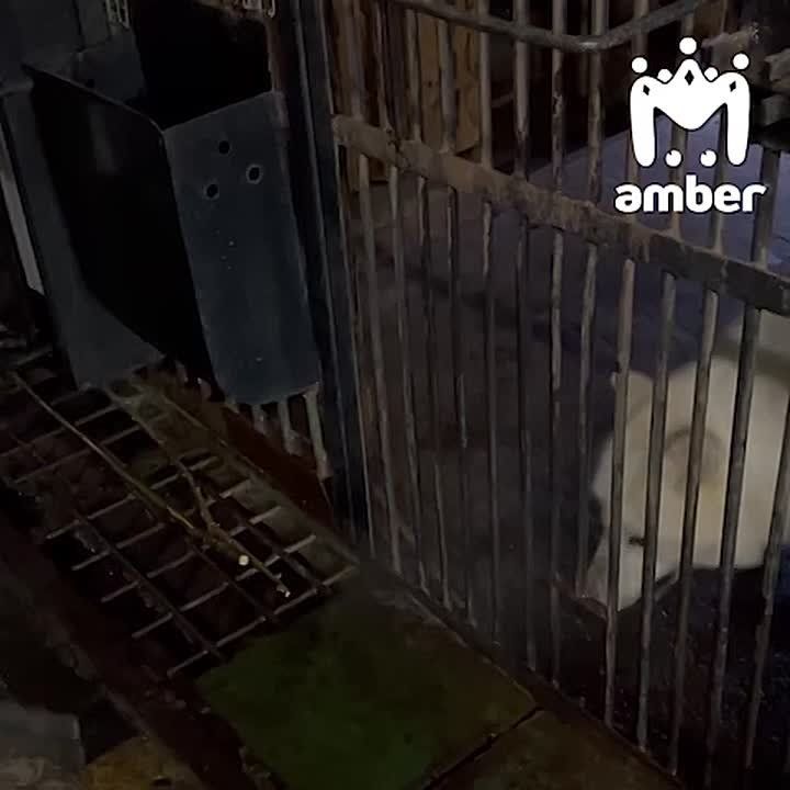 ���� ����� ��� �� ������, � �� ��� ������?