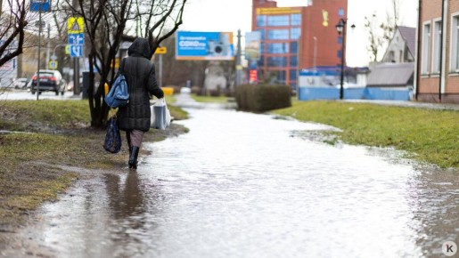 ������������� ���������� ��������� � ������������ ����� ���������� ��� � 2026 ���� � ��������� �� ����� ��� ���