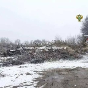 � �������������� ������ ����� �������� ����������� ������������� ���������� ������