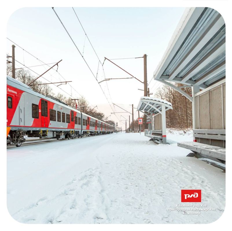 ��������������� ����������� ������ ����� ����������� �� ���������� ��������� � ������������ ��� 23 �������