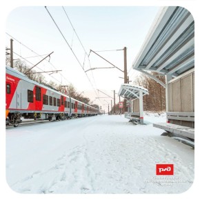 ��������������� ����������� ������ ����� ����������� �� ���������� ��������� � ������������ ��� 23 �������