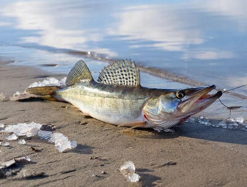 �� ��� ������� ��������������� ������� ����� ���������� �������