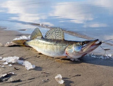 �� ��� ������� ��������������� ������� ����� ���������� �������