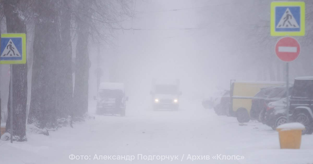 В Калининградской области в субботу пойдёт снег, а за ним дождь, температура за день прыгнет с -9 до +1