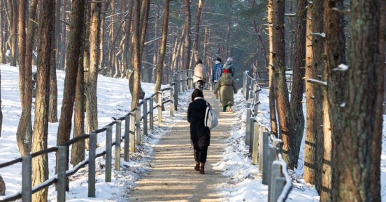 �������� ������ ������ �����������: ��������������� ���� ����������, ���� ����� ����� � ��� �������� �� � ��������