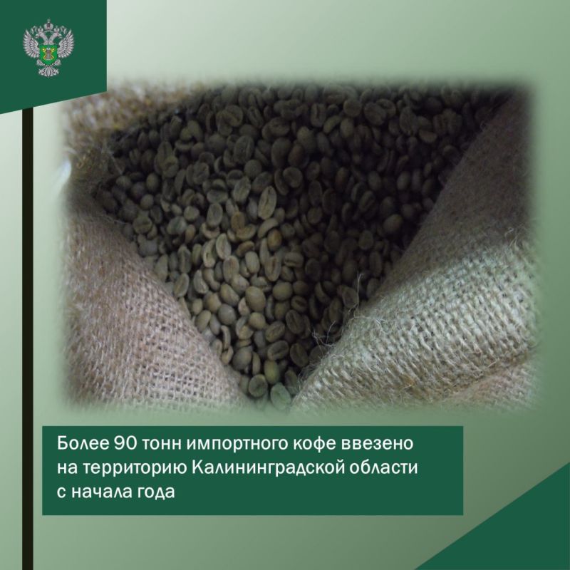 ����� 90 ���� ���������� ���� ������� �� ���������� ��������������� ������� � ������ ����