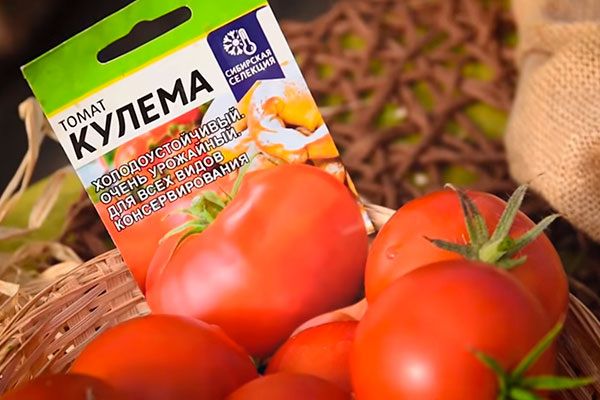 ������� ��������� ����������� ������� �����