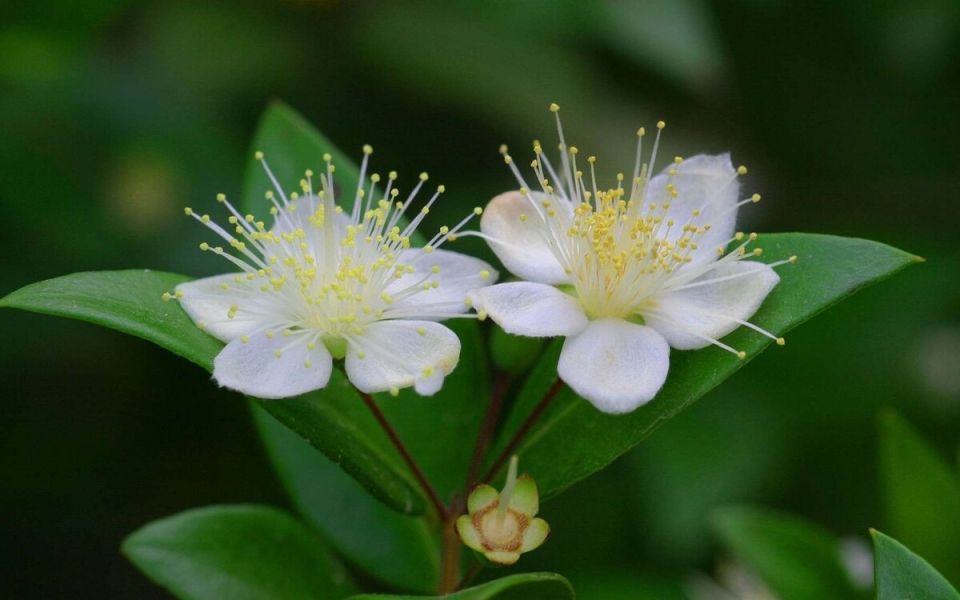 ����: ������� ������ �������� � ���� � ����� ����