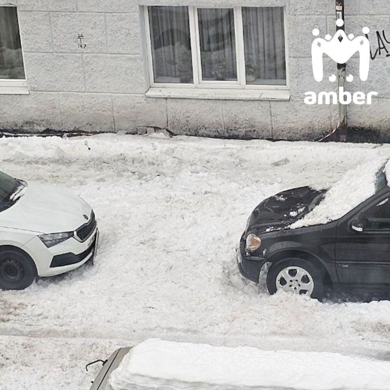 ����� ���� ������ � ���� � ���� ������ � ������������