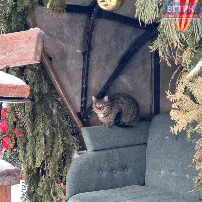 � ���� ��������� ��������� ������� ��� ����������� ������������� ����������� � ��������� ������� �����, �������� ��������� ������ ��� ��������� �������� � ����