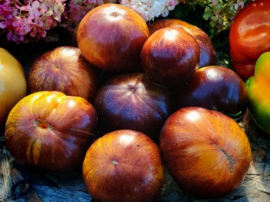 Сладкие помидоры: секреты выбора идеального сорта