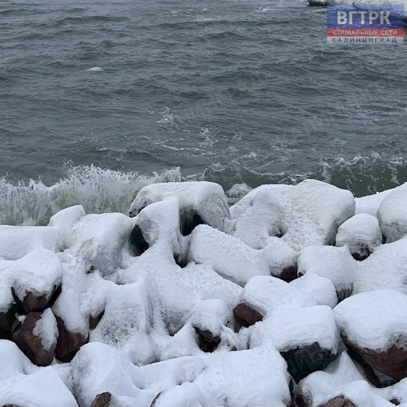 ����� ����� ������� �������� � ������� ��������, ��������� ��������� � ��������� �������� �� ����, ����� � ������� ����