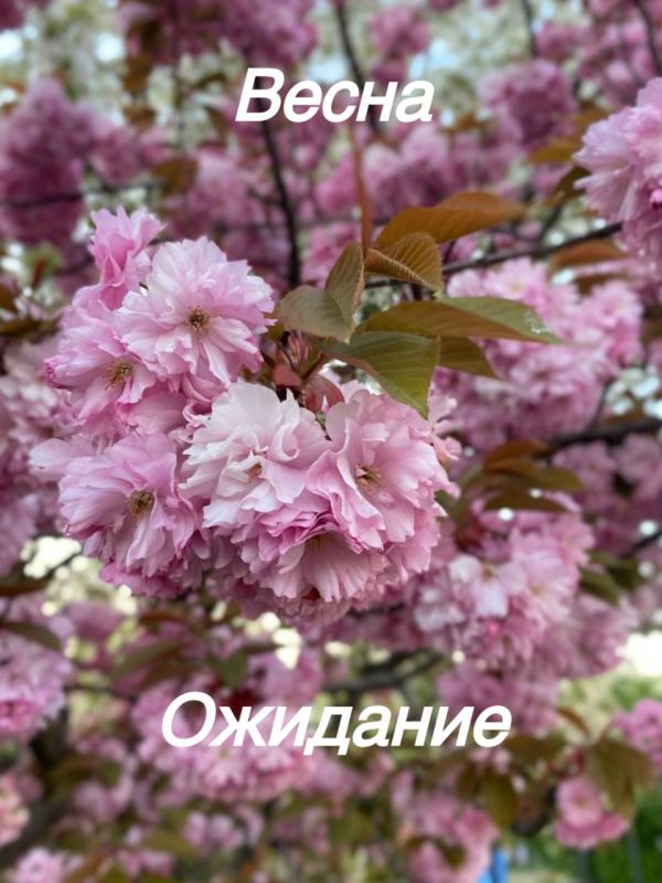 ����� � ��������������� ������� ����� ������ ��������� ������ ��������