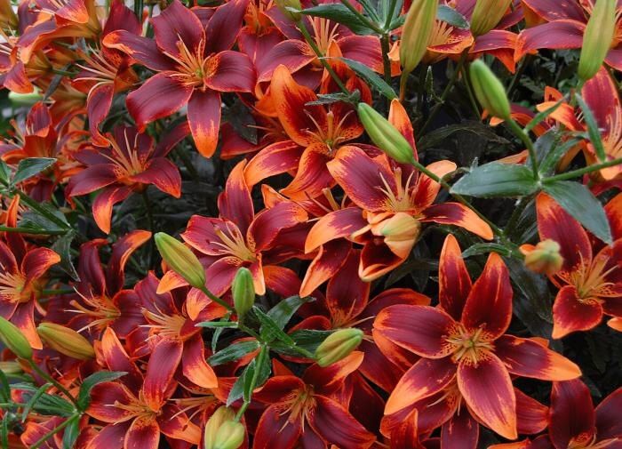 ���������: ��� ������������ �� ��������� ��� ����