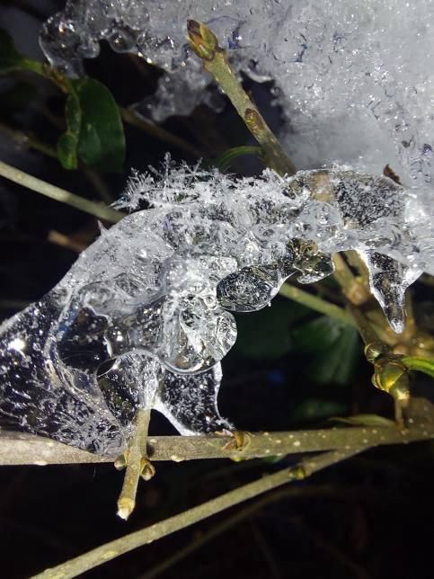 �������� ����� ���� � ������ ���������� �������