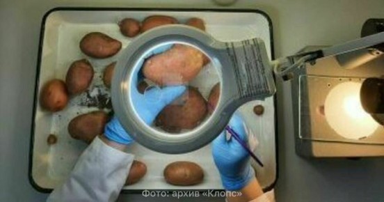 ��������� ������� ������� ��������������� ������, ��� ��� ������� ������� ������ ���������