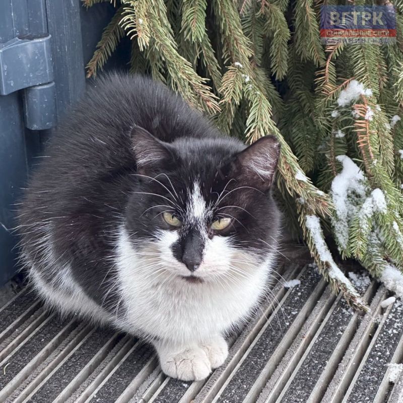 ������ ���� �� ������������ �������������!