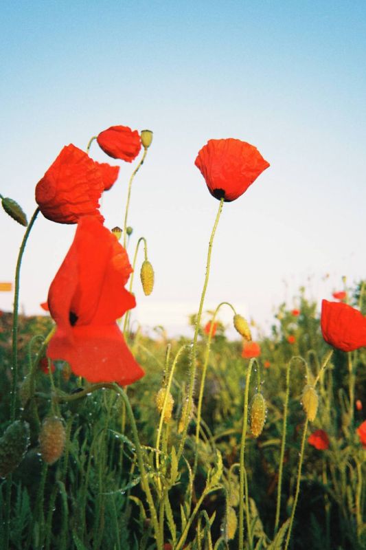 ����� ������ ���� � ����� ��������� ��������! � ����� ����� �������� ���� ������?