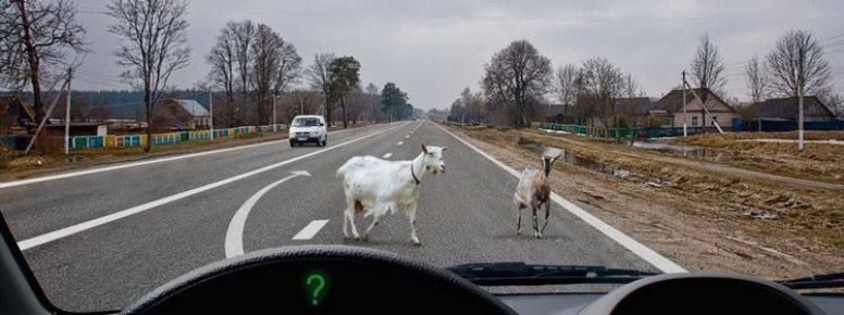 #��������2026