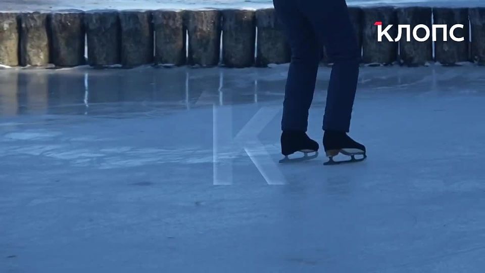 46-������ ����������-������������ �� ������������ ������� ����� ����� �������� ��������, �������� ����� �� �������� ����