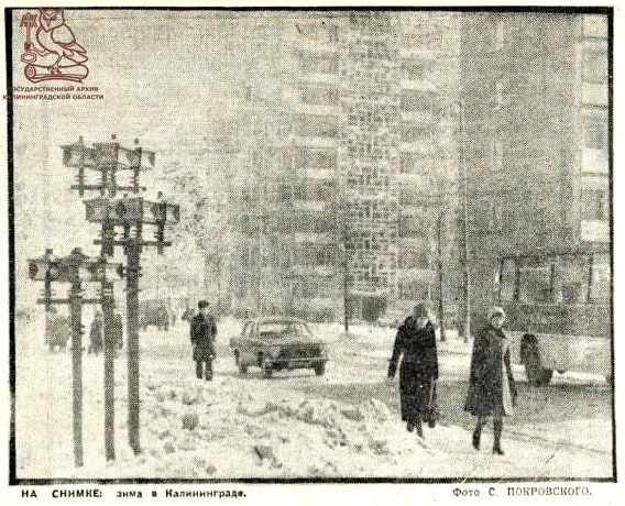 ���� 19 ��� ����� � ������� ���� ��� ����� � �� ����, �� � 1981 ���� ��� ���� ������ �������