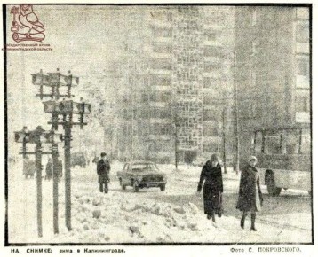 ���� 19 ��� ����� � ������� ���� ��� ����� � �� ����, �� � 1981 ���� ��� ���� ������ �������