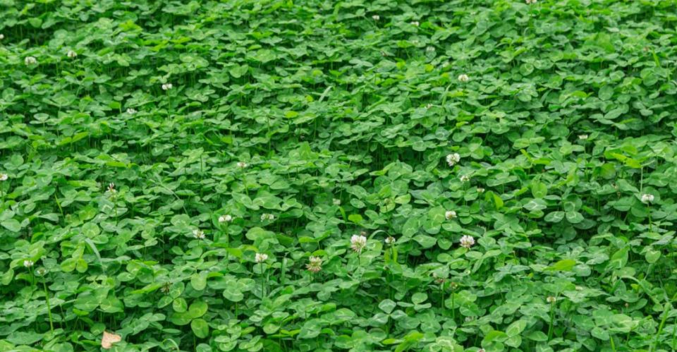 �������� ������ � ����� ������: ������� ������ �������