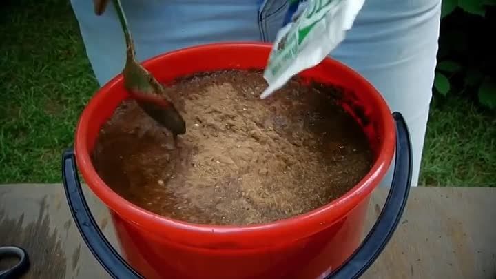 �������� ����: ����������� �������� ��� ���� � �������