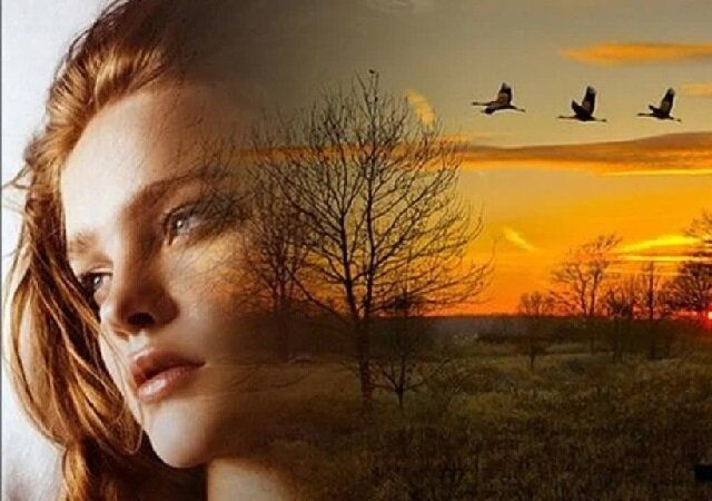 ��� �� �� ������� ��������� ���� �����?