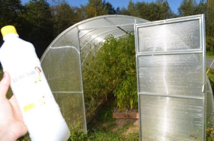 ����������� ����������� �������: ��� ������������� ������� � ����������