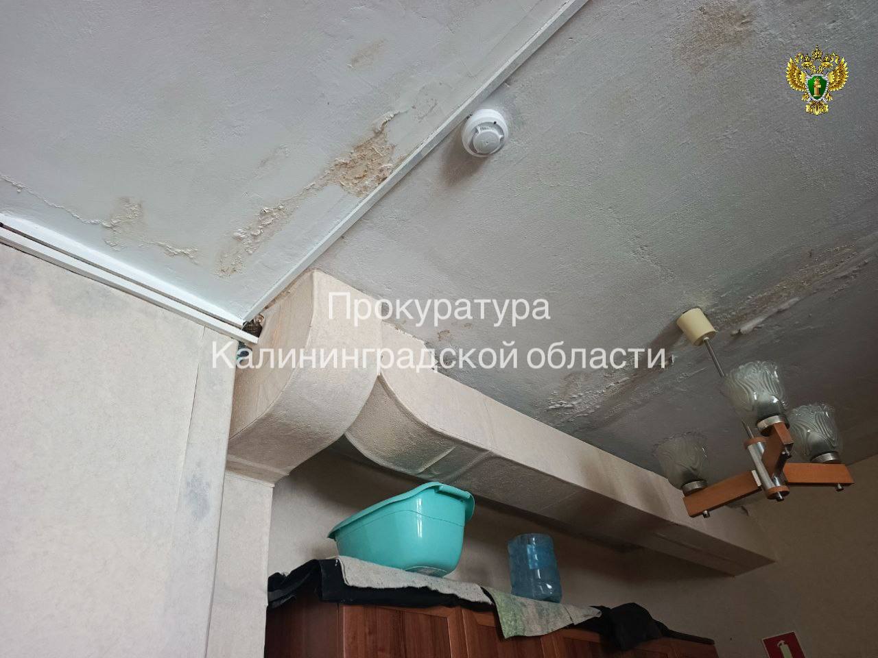 Прокуратура Гурьевского района организовала проверку по сообщениям средств массовой информации об аварийном состоянии Дома культуры в поселке Петрово Прокуратура Гурьевского района организовала проверку по сообщениям средств массовой информации об аварийном состоянии Дома культуры в поселке Петрово