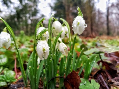 19 ��� ����� � ��������������� ������� �� ���� ����������������� ����