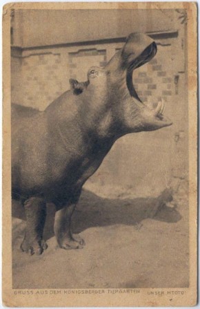 ������� ������� ���������������� �������� �����