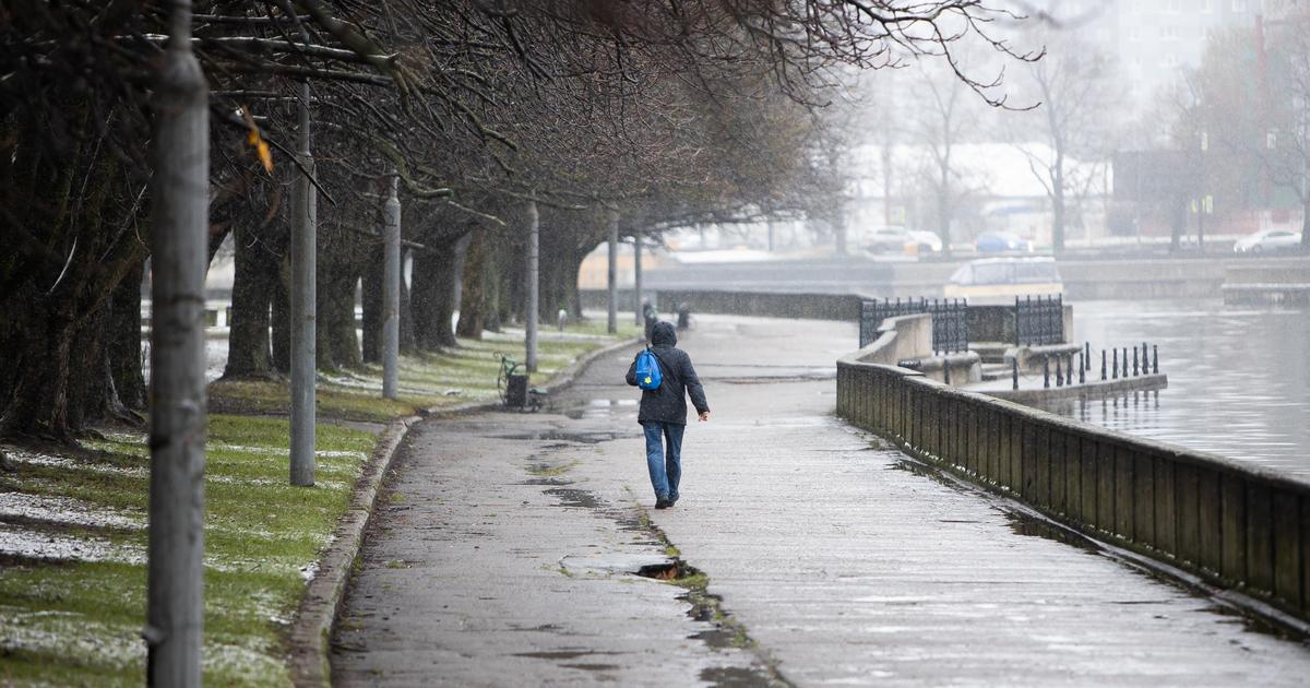 В Калининградскую область придёт тропический воздух: к выходным прогнозируется до +10