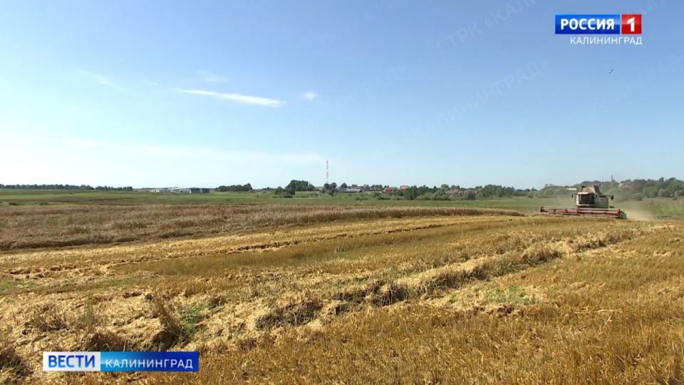 ��������������� ������� ��������� � �������� ���������� ��������� � ���������������� �������