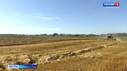 ��������������� ������� ��������� � �������� ���������� ��������� � ���������������� �������