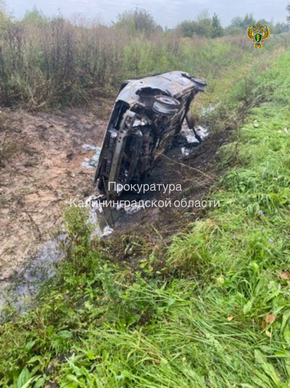 18-летний житель Гусева предстанет перед судом по обвинению в угоне и поджоге автомобиля