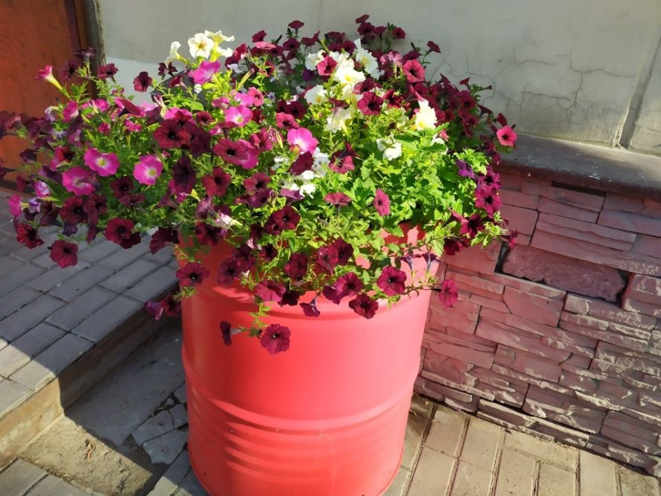 ��� ������������ ������ ����� �� ����: ���������� ���� ��� ��������� �����������