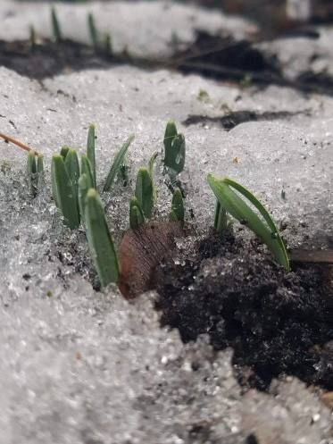 ��� ������ ��� ������������ �����