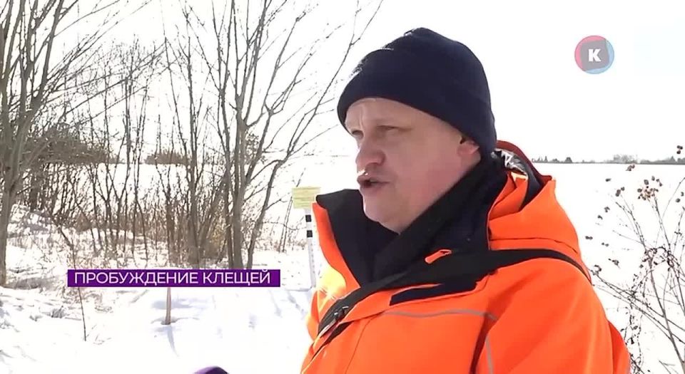 � ������������ ���-��� ��������� �����: �� ���� ������� ������